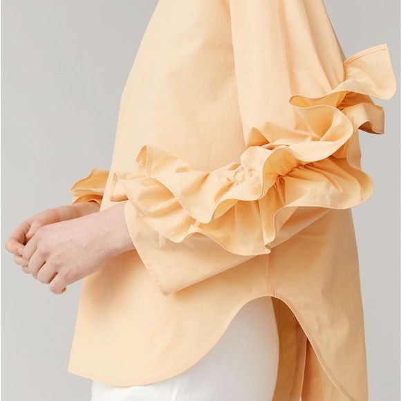 COS blouse with ruffled sleeves/ Sz small - Picture 2 of 8